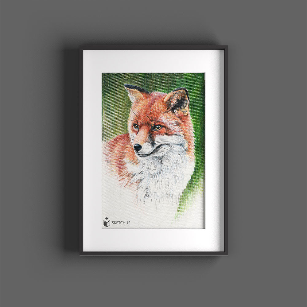 Fuchs Tierportraits nach vorlage tierzeichnung schwarz weiss bleistift pastell malen tiere zeichnen lassen tierbilder gemalt skizze Sketchus Tierportrait zeichnen lassen haustier malen lassen nach fotovorlage tier malen lassen haustier portrait